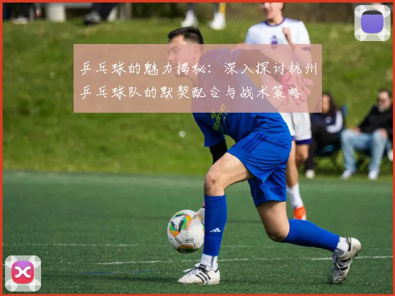 乒乓球的魅力揭秘：深入探讨杭州乒乓球队的默契配合与战术策略